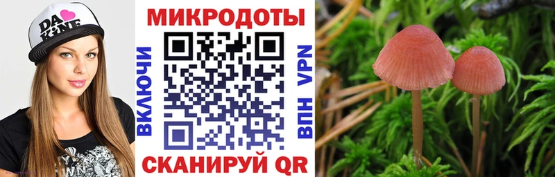 Псилоцибиновые грибы Cubensis  закладка  Разумное 